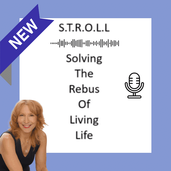 Solving the Rebus of Living Life Podcast Art